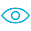 Vision icon
